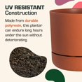 Round Self Watering Planter with Built in Saucer, UV Polyresin Pot, 8
