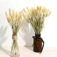 thumbnail image 3 of Tutuviw 60 Pcs Mini Dried Bunny Tails Grass, Natural Dried Bouquet DIY Craft Floral Arrangement for Party Wedding Home Kitchen Office Table Christmas Decor (Nature), 3 of 7