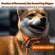 thumbnail image 5 of P-Lia Correa para perros Correa antideslizante para perros Correa antideslizante ajustable Correa de entrenamiento para perros ajustable de una pieza Correas y collar de plomo de entrenamiento sin tir, 5 of 8