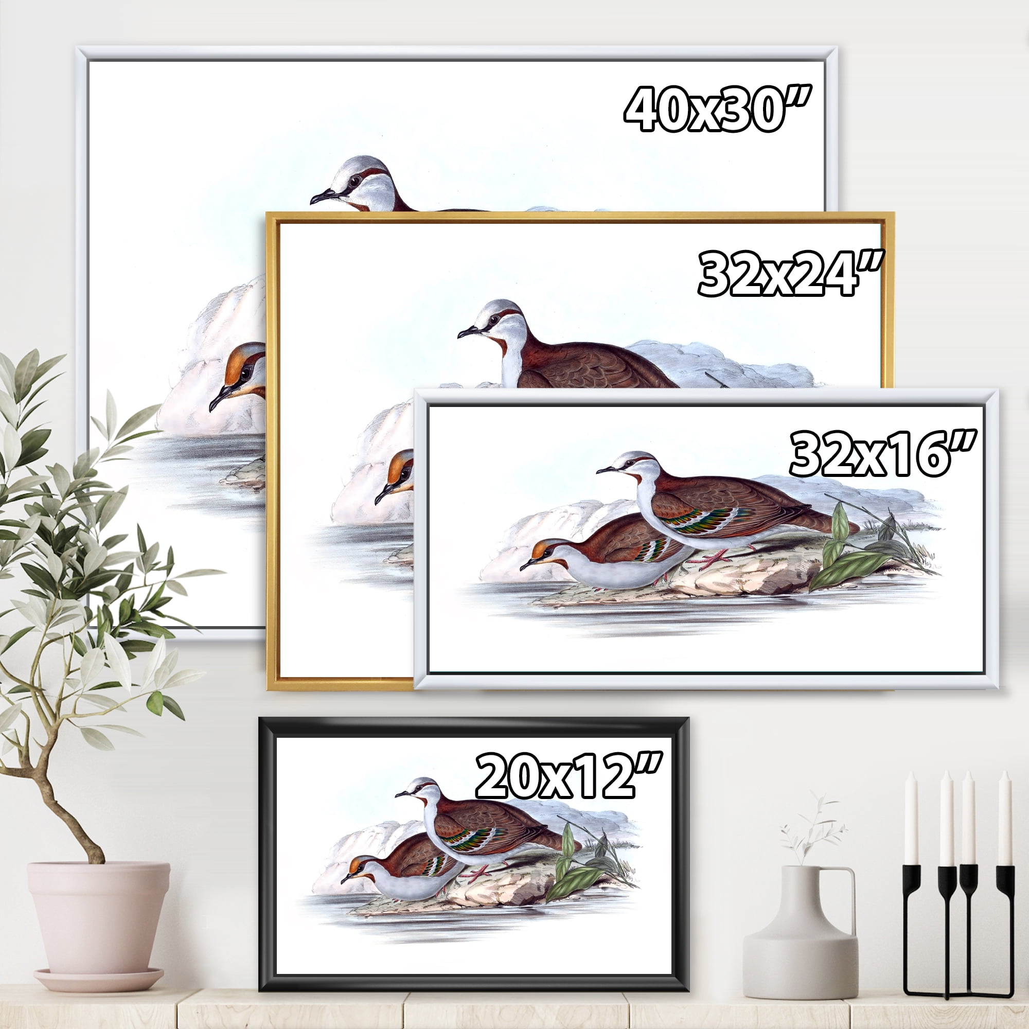 Designart 'Ancient Australian Birds IX' Traditional Framed Canvas Wall Art Print