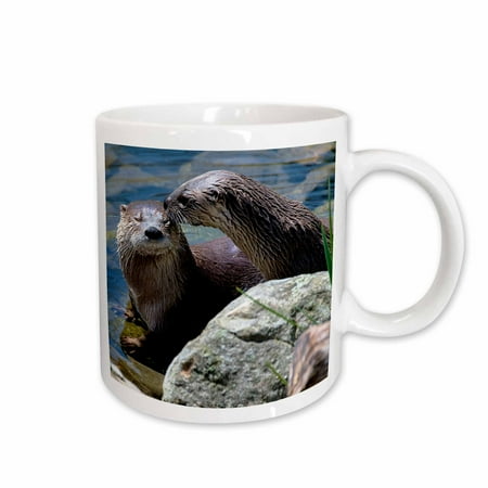 

3dRose Otter Love Ceramic Mug 11-ounce