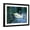 Black Frame, variant on Art.com Two White Swans On Lake Art Print by balaikin2009, 16" x 12"