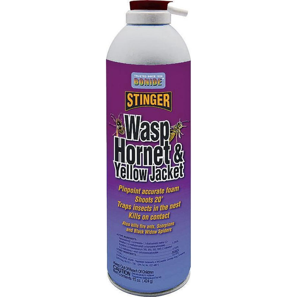 WASP & YELLOW JACKET FOAM