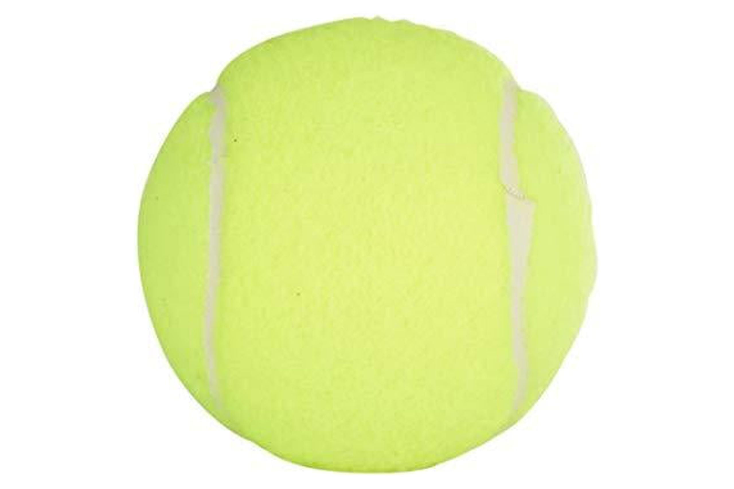 Penn Championship Extra Duty Tennis Balls (15 cans, 45 balls)