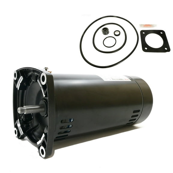 Puri Tech Replacement Motor Kit for Sta-Rite Max-E-Glas 1.5HP PEA6F-182L AO Smith USQ1152 w/ GO-KIT-54