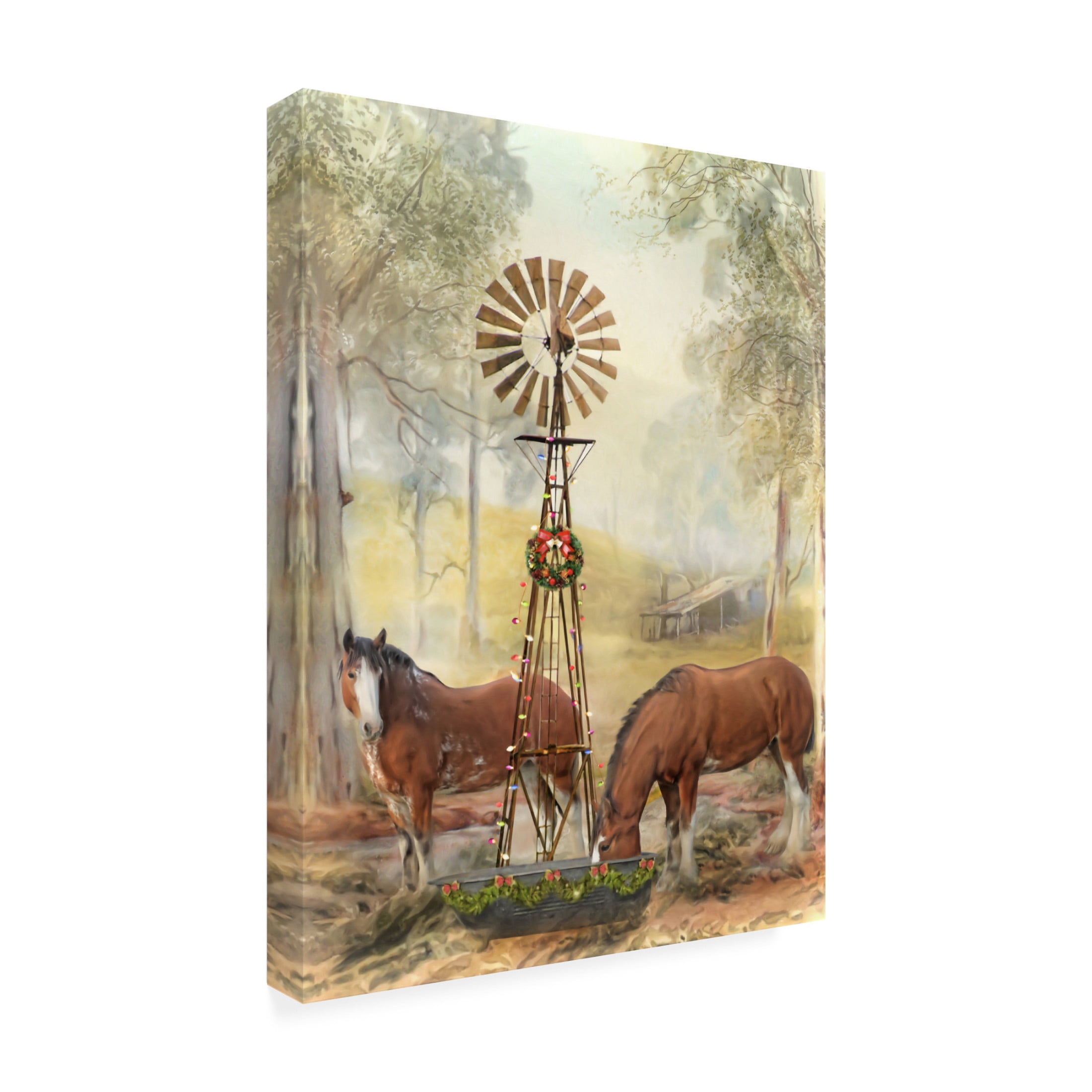 Canvas Wall Art - Trudi Simmonds 'The Christmas Star 2' Wall Art for Living Room, Bedroom, or Office Décor by Trademark Fine Art - 18 x 24 Inches