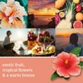 thumbnail image 3 of Yankee Candle Sidekick Collection Fragrance Refill, 2 Pack, Cliffside Sunrise, Car Air Freshener, 3 of 7