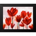 thumbnail image 2 of Northern Lights 24x19 Black Modern Framed Museum Art Print Titled - Contemporary Poppies Red, 2 of 5