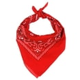 thumbnail image 2 of Kit de Costume Super Italian Brothers Chapeau Lunettes de Soleil Bandana Paisley Rouge, 2 of 2