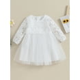thumbnail image 2 of Bagilaanoe Toddler Baby Girl Party Dress Floral Embroidery Long Sleeve A-line Princess Dresses 6M 12M 18M 24M 3T 4T Kid Fall Patchwork Tulle Skirt, 2 of 9