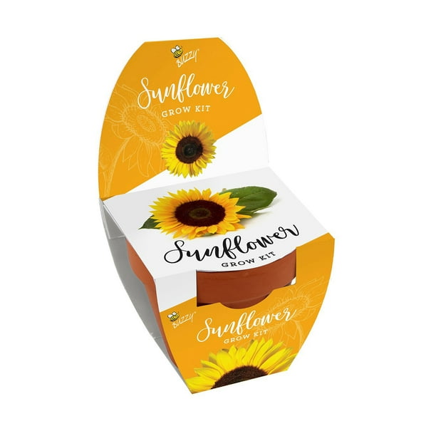 Buzzy Classic Terracotta Grow Kit Guaranteed to Grow Sunflower