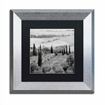 Trademark Fine Art "Tuscany X" Canvas Art by Alan Blaustein, Black Matte, Silver Frame