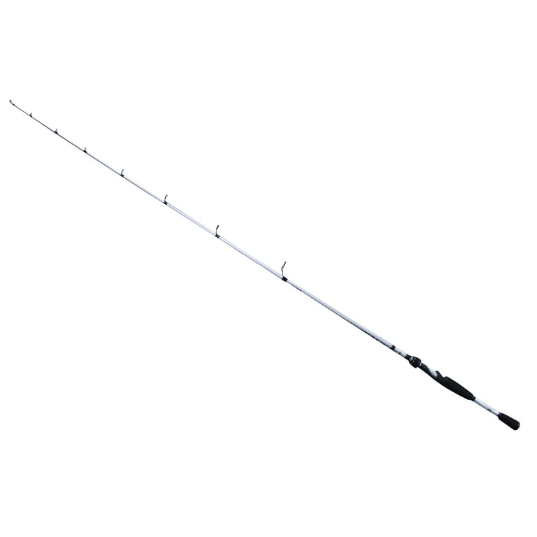 daiwa 80 reel Daiwa AIRD 80 Casting Reel