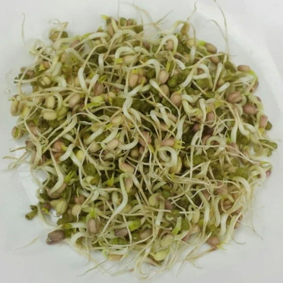 Mung Bean Sprouts Seeds - Sungarden Sprouts from Seed - Grow Sprouts Low in Calories and High in Fiber - 3 ounces of Mung Bean Seed
