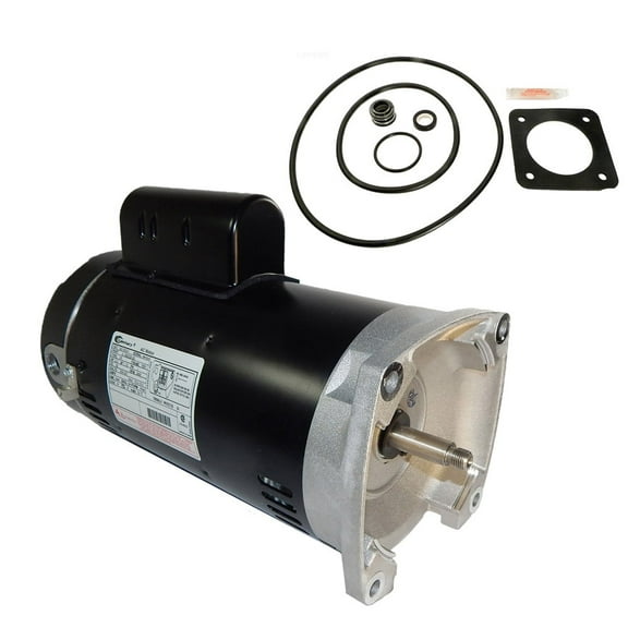 Puri Tech Sta-Rite Max-E-Glas 2.5HP PEAA6G-184L Replacement Motor Kit AO Smith Century USQ1252 Motor with GO-KIT-6