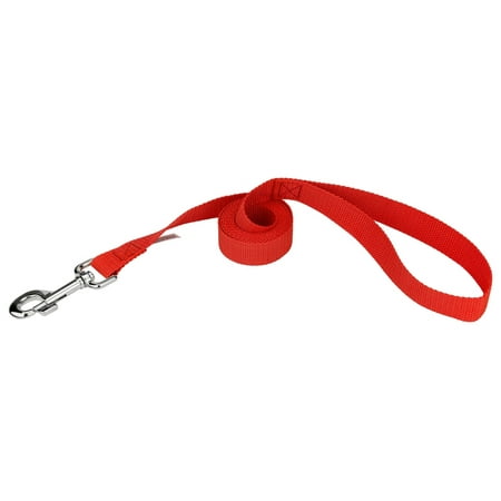 Country Brook Design - 1 inch Heavy Polypropylene Dog Leash Red - 6 Foot