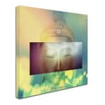 thumbnail image 2 of Trademark Fine Art 'Buddha Face 3' Canvas Art by Mark Ashkenazi, 2 of 3