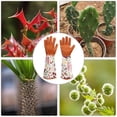 thumbnail image 5 of Jardinería guantes de piel de rosa extensión femenina guantes profesionales rosas poda jardín madre y abuela regalo jardinería (marrón) Zefei Wu 9024735019473, 5 of 5
