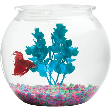 Hawkeye 2-Gallon Shatterproof Plastic Fish Bowl (Best Fish To Keep In A Bowl)