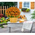 thumbnail image 4 of Better Homes & Gardens 2.5G Orange Garden Chrysanthemum Plant Decorative Basket Sun, 4 of 7