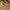 Oatmeal, variant on Sperry Top-Sider Authentic Original 2-Eye Boat Shoe - Mens