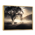 thumbnail image 2 of Designart "Cattle delicate Grazing I" Animals Floater Framed Canvas Print, 2 of 7