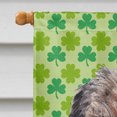 thumbnail image 3 of Carolines Treasures SC9571CHF Border Terrier St Patricks Irlandais Drapeau Toile Maison Taille, 3 of 4