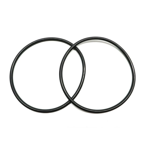 Captain O-Ring Replacement 272541 O-Ring for Pentair Pool/Spa Filter and Valve 2 Pack