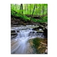 thumbnail image 2 of Trademark Fine Art "Valley Stream" Canvas Wall Art by Kurt Shaffer, 2 of 2