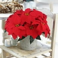 thumbnail image 4 of 2 Pcs Poinsettias Artificial Christmas Flowers Red Poinsettia Bushes for Christmas Decor 7 Heads Fake Silk Poinsettia Flowers Velvet Bouquet for Home Xmas Tree Table Centerpiece Holiday, 4 of 7