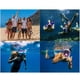 thumbnail image 4 of Máscara de snorkel de cara completa, máscara de buceo antivaho Vista panorámica de 180 grados Equipo de snorkel a prueba de fugas para niños y adultos, 4 of 5