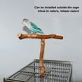 thumbnail image 4 of Percha Para Pájaros De Madera En Forma De T, Soporte De Madera Para Loros, Divertido Y Resistente, Para Moler Patas, Alivia El Aburrimiento Para Periquitos Y Cacatúas Para, 4 of 7