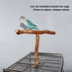 thumbnail image 4 of Soporte de madera para loros ANGGREK Percha en forma de T, 4 of 7