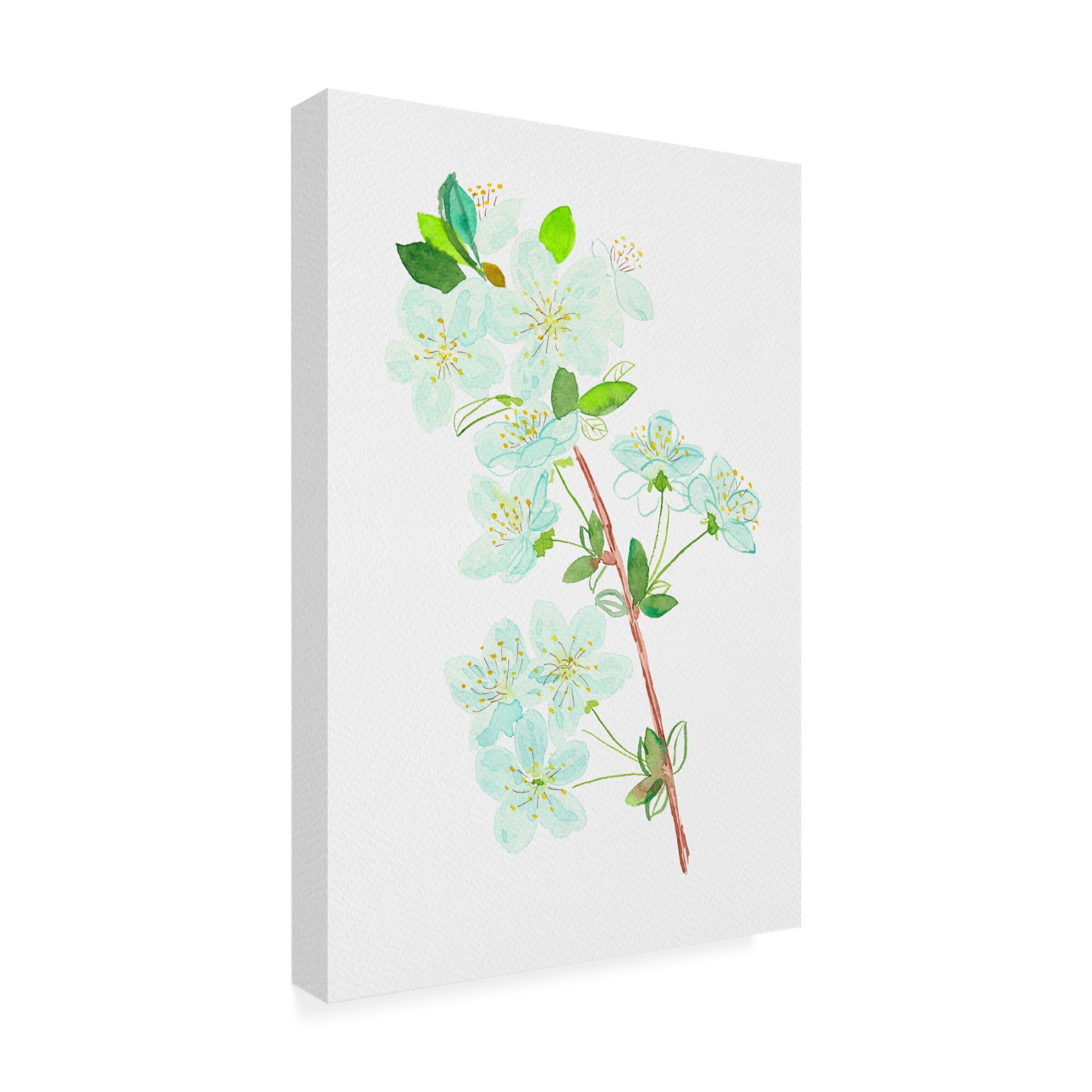 Trademark Fine Art Kata Botanical Wild cherry or Prunus avium botanical painting Canvas Wall Art