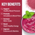 thumbnail image 2 of Superfood Powder Force Factor Total Beets, 30 porciones, 2 of 9