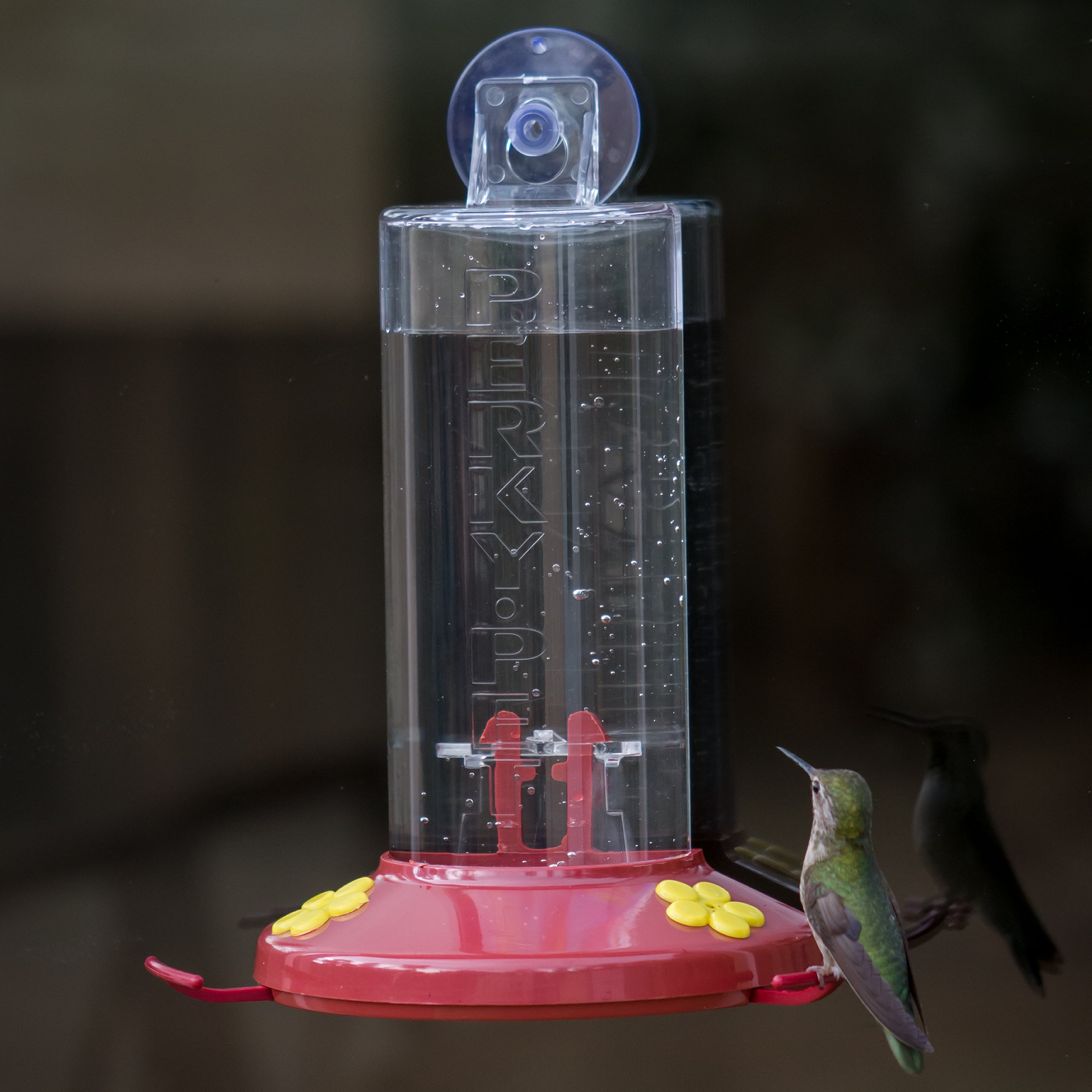 Perky Pet 8 Oz Window Mount Hummingbird Feeder Walmart Com