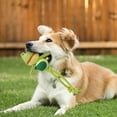 thumbnail image 1 of Squeaky Rope Dog Toys Braided Chew Pet Toys for Small Medium Dogs Interactive Durable, 1 of 3