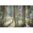 thumbnail image 2 of Paulson, Don 18x13 Gold Ornate Wood Framed with Double Matting Museum Art Print Titled - WA, Scenic Beach SP Blurred forest scene, 2 of 4