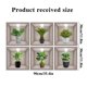 thumbnail image 4 of Teissuly Wall Stickers, Simulated Iron Mesh Green Luo Bedroom, Living Room, Entrance, Dormitory Home Decoration Teissuly WER202310061058, 4 of 8