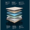 thumbnail image 4 of Springfit 10" Hybrid Mattress in a Box, Medium Firm, Pocket Spring, CertiPUR-US®, Twin, 4 of 10