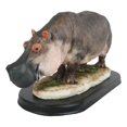 thumbnail image 4 of African River Common Hippopotamus Statue On Black Gallery Base 11"L Hippo Decor, 4 of 8