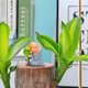 thumbnail image 1 of ShinYu Pequeño Monje Zen Decoración Del Hogar Sala de Estar Mesa de Té Muñeca Muñeca Cura Departamento Descompresión, 1 of 7