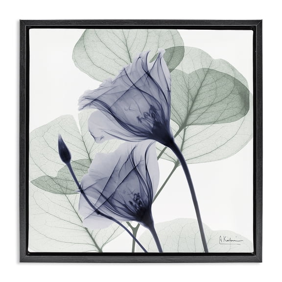 Stupell Industries Modern Serene Tulips & Herbs Black Floating Frame Canvas Art, 18 x 18, by Albert Koetsier