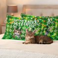 thumbnail image 3 of St. Patrick's Day Pillow Covers 2 Pack Watercolor Green Hat Cat Rabbit Shamrocks Green Plaid Pillowcase Waterproof Outdoor Throw Pillow Cover for Patio Balcony Rectangular Cushion 20”x12”, 3 of 9