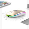 thumbnail image 1 of Retroiluminación de ratón inalámbrico óptico 2.4G con receptor USB Ratón inalámbrico ergonómico, 1 of 9