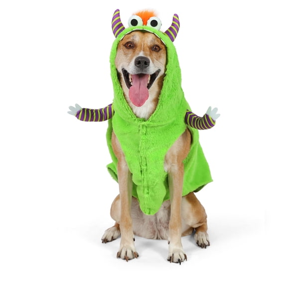 Vibrant Life Halloween Monster Costume for Dogs, Multicolor, Large