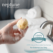 Neptune Sea Silk Sponge 12 Pack, Extra Small, Hand Cut, Approx. 1-2 inches.