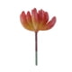 thumbnail image 2 of Plantas Suculentas Artificiales de Flores de Plástico para Decoración Interior, 2 of 6