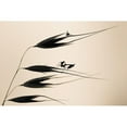 thumbnail image 3 of Bravin, Fabien 14x11 Black Modern Framed Museum Art Print Titled - Gone With The Wind, 3 of 5