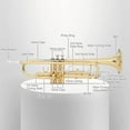 thumbnail image 3 of SalonMore Beginner Gold Lacquer Brass Bb Trumpet with Case, Gloves, 3 of 11